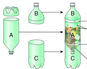 Esquema compost en botella