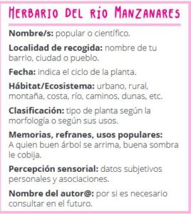 Modelo de etiqueta para herbario