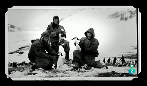 Tres hombres con los pingüinos en la Antártida