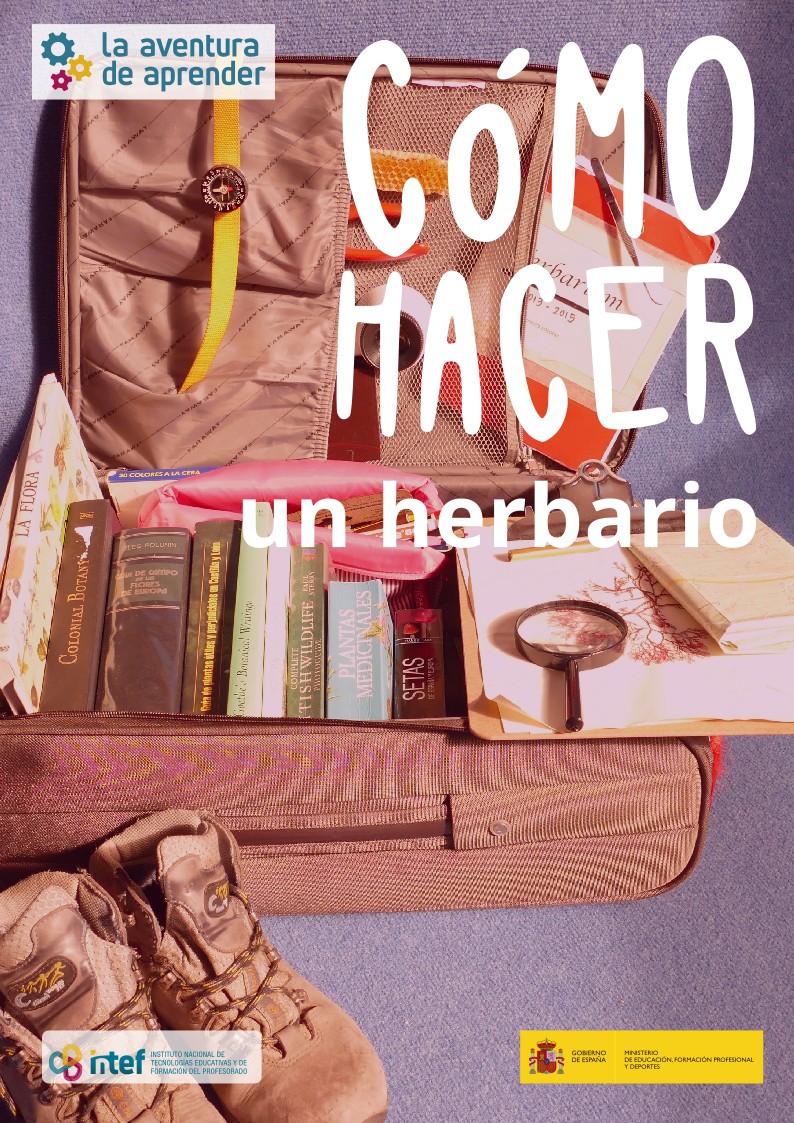 Imagen de Cómo hacer un herbario