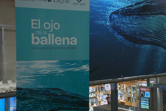 img-Exposición de ballenas en el museo de ciencias naturales