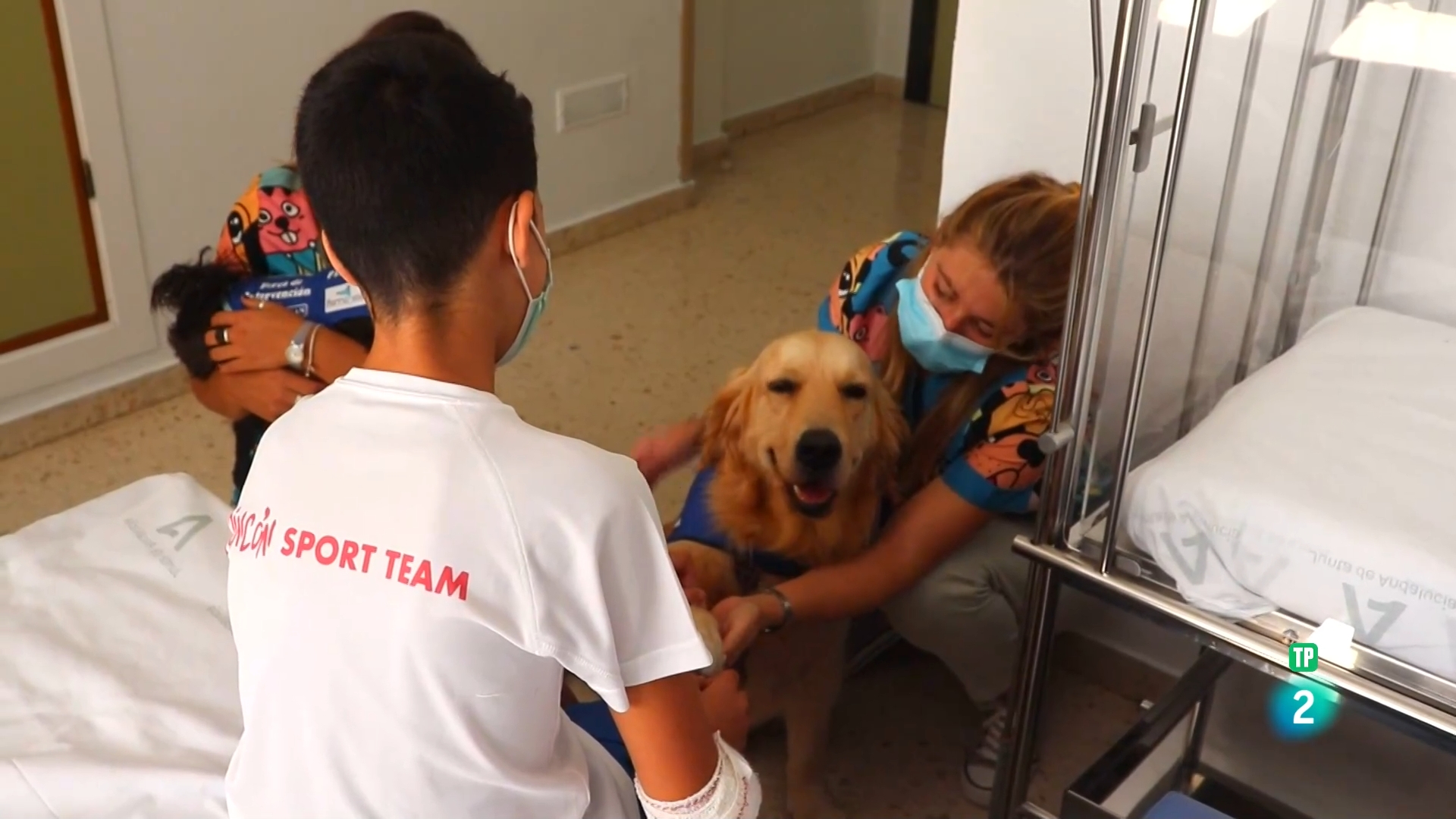 img-El vínculo en las Intervenciones Asistidas con Animales