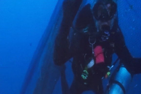 img-Imagen de un buzo recuperando plástico en el fondo del mar