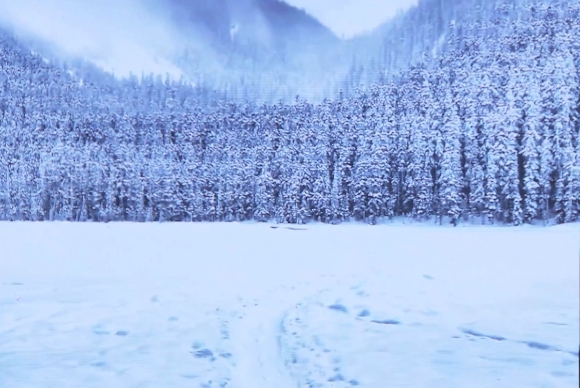 img-Imagen de un paisaje cubierto de nieve