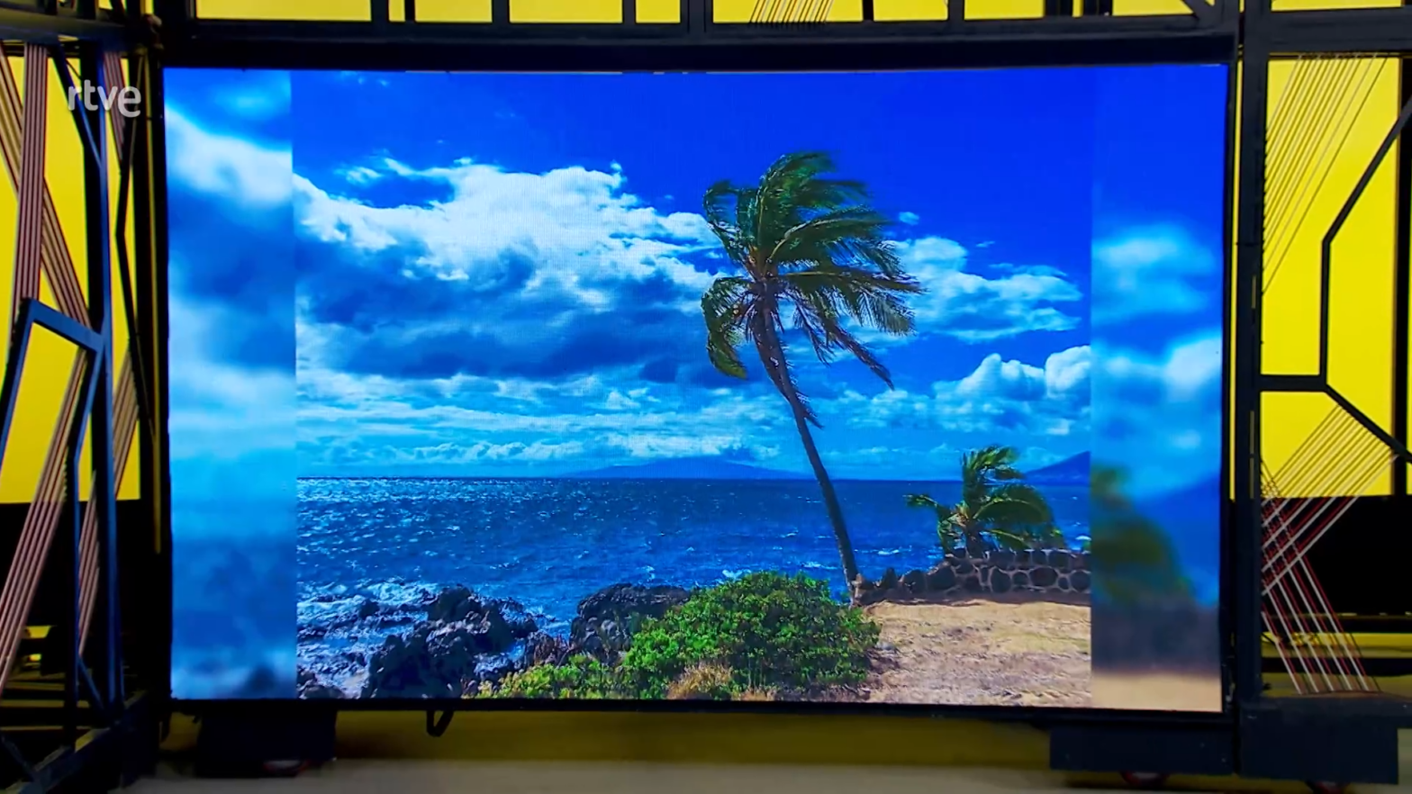 Vista de una palmera en la playa