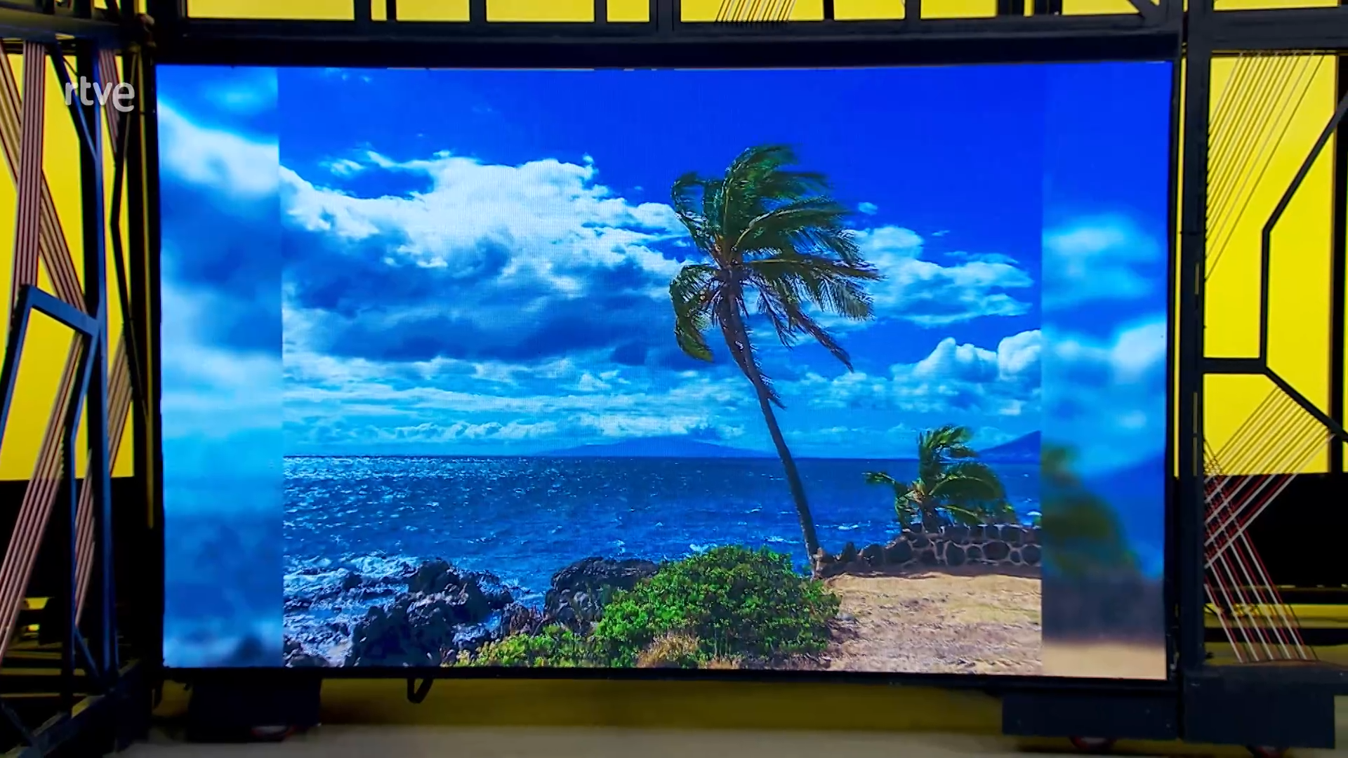 img-Vista de una palmera en la playa