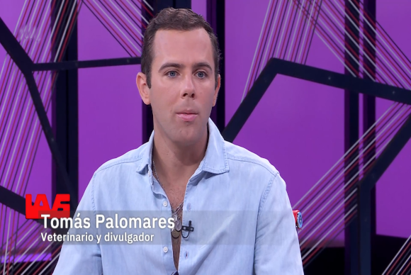 img-Entrevista al veterinario Tomás Palomares