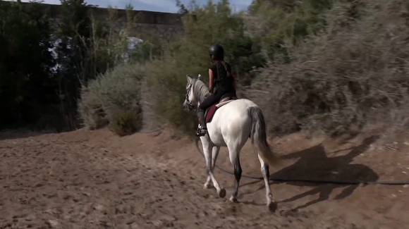 img-fotograma del clip con un caballo