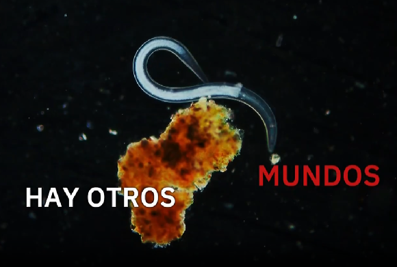 img-Hay otros mundos. Rubén Duro. Fotograma