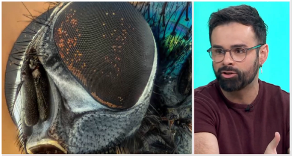 img-Ricardo Moure. Los ojos en la naturaleza. Captura