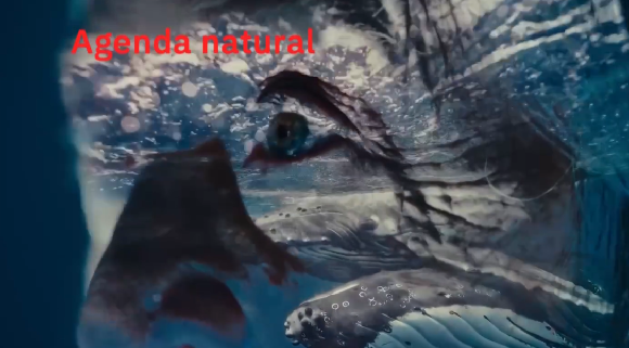 img-Agenda natural. Captura