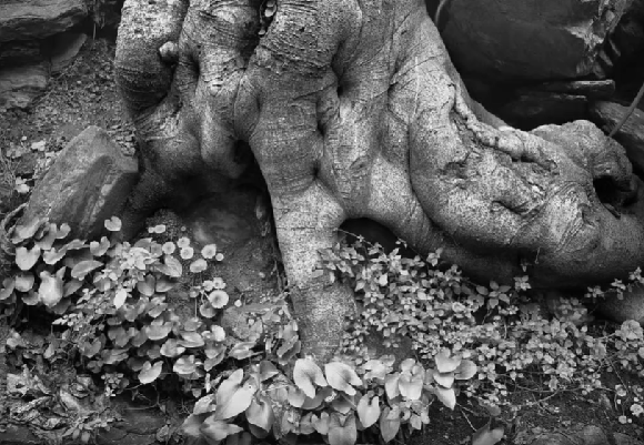 img-Boek Visual. Juan Miguel Alba, captura