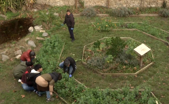 img-Patios educativos. Captura