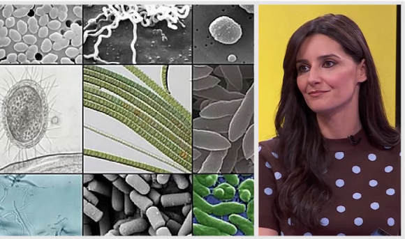 img-Carmen Guillén. Antonie Van Leeuwenhoek, padre de la microbiología. Captura