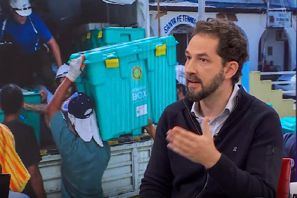 img-Instituto de Estudios Sobre Conflictos y Acción Humanitaria. Captura