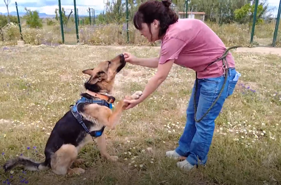 img-Cuidando el vínculo entre personas y animales. Captura