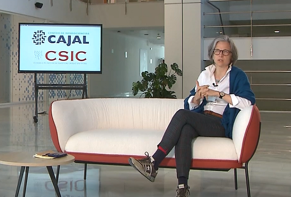 img-Centro Neurociencias Cajal CSIC. Captura